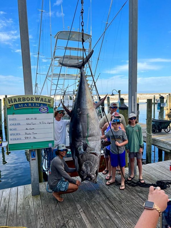 Massive 832-pound Bluefin Tuna Caught Off Florida Coast! - Coastal 