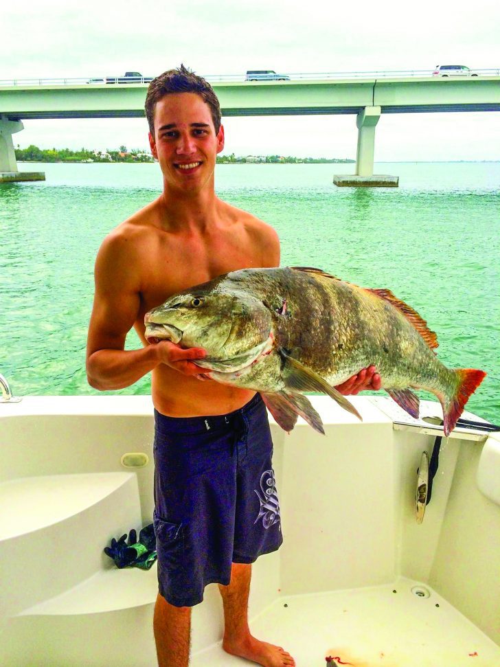 Michael Sipos Black Drum 2 Black Drum The Largest of the Drum Species