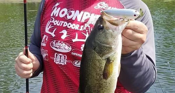 bass pro shops yellow and black fishing pole catfish Bass Pro Shops Catmaxx Baitcast Combo Catmaxx Spinning Combo Bass Pro  Catmaxx Spinning Reel Spool Catfish