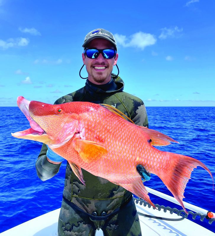 Everything About Hogfish, Not to Be Confused With The Mythical Hog ...