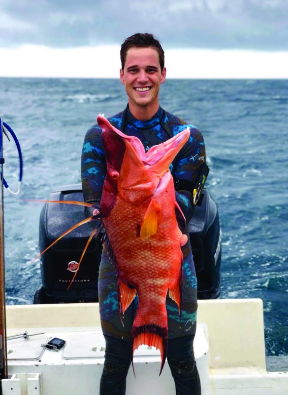 Everything About Hogfish, Not to Be Confused With The Mythical Hog “Snapper” Coastal Angler