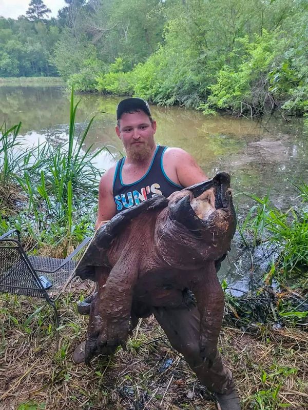 Texas Man Catches And Releases Monster Alligator Snapping Turtle Coastal Angler And The Angler 8652