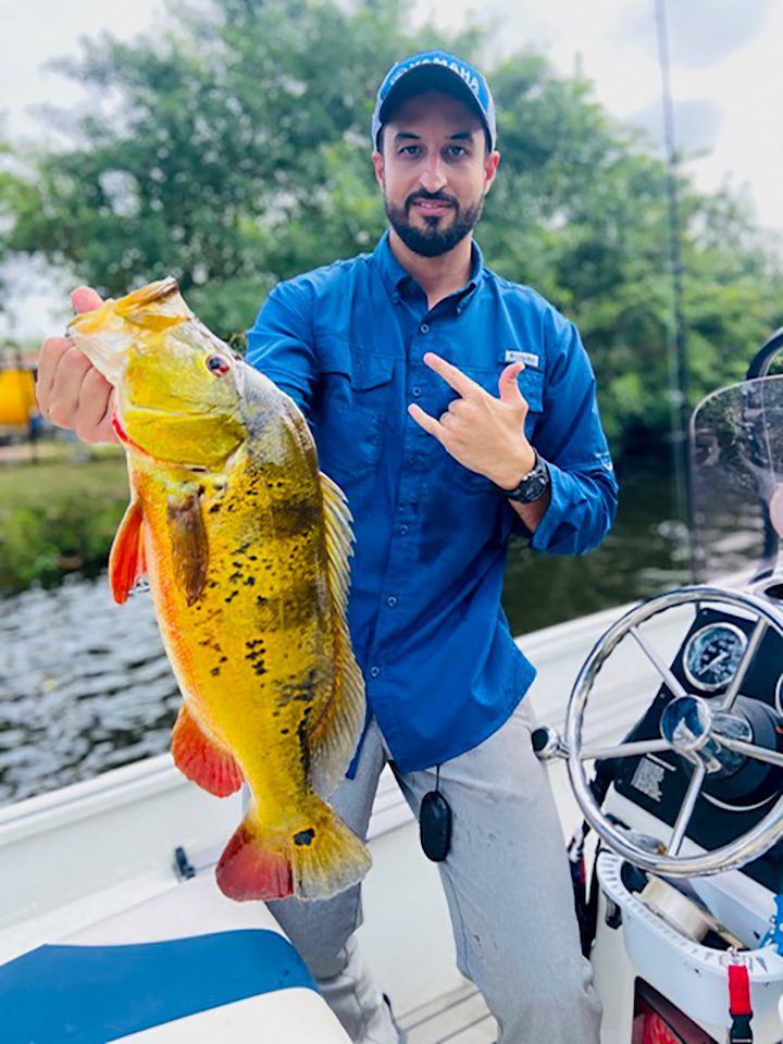 Urban Fishing In Backyards For GIANT Largemouth and Peacock Bass