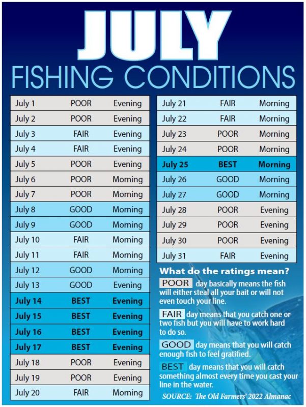Treasure Coast Fishing Reports, Forecast, News Articles, Outdoors