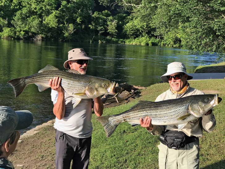 Tips To Dial In RiverRun Bass Coastal Angler & The Angler Magazine