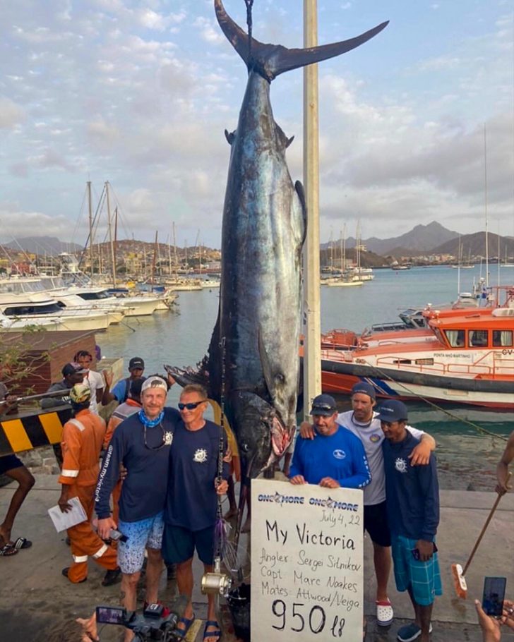 Blue Marlin Big Game Fishing, Madeira