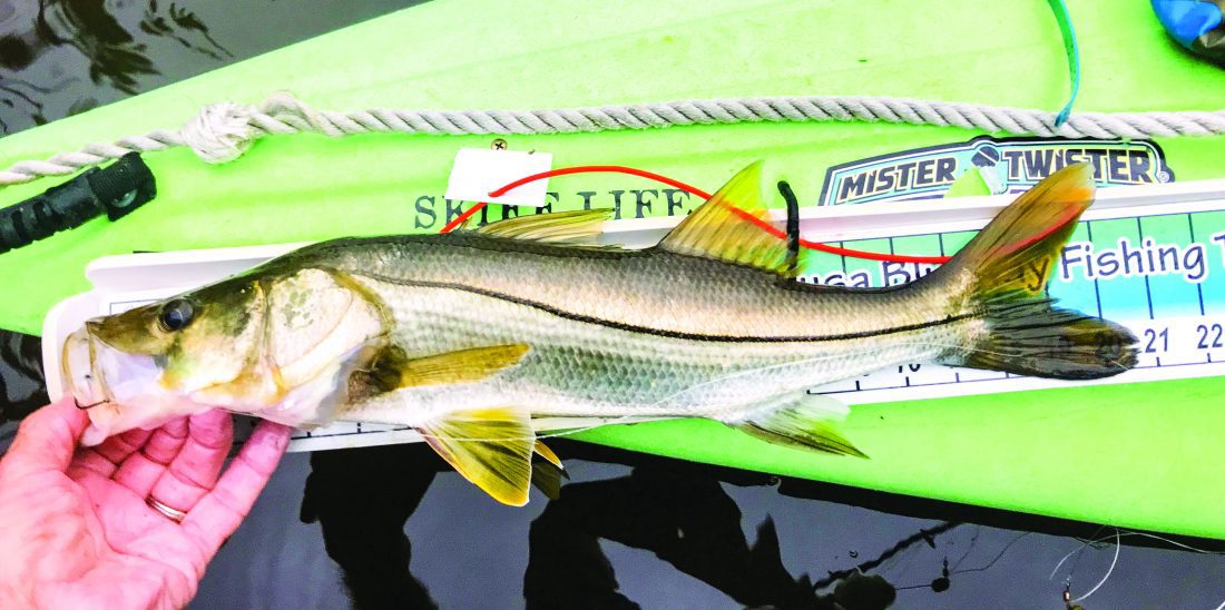 The 19th Annual Calusa Blueway Kayak Fishing Tournament Coastal Angler & The Angler Magazine