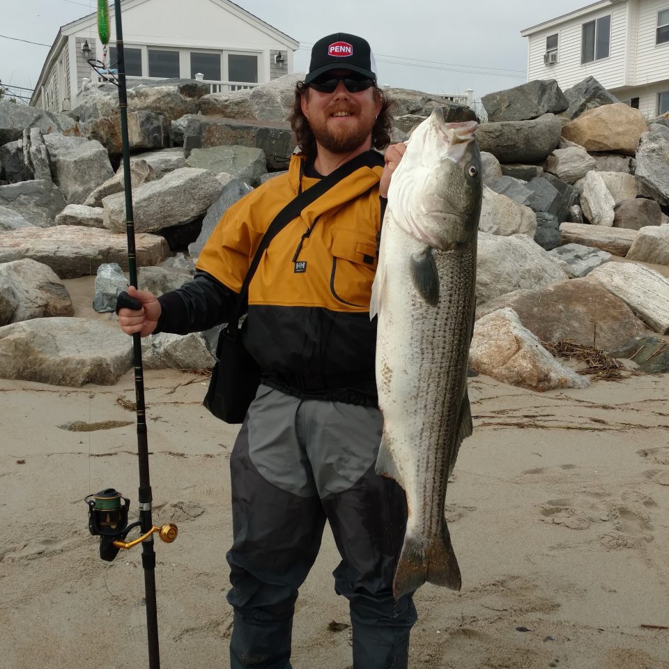 Bass fishing in estuaries - A Bass Angler's Life