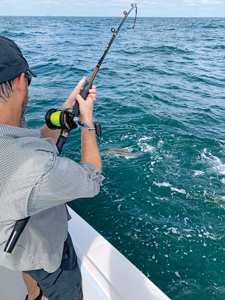 Mid-Atlantic Cobia Fishing Run