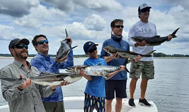 Chasing cobia in South Carolina: Where and how to catch the hard-fighting  fish