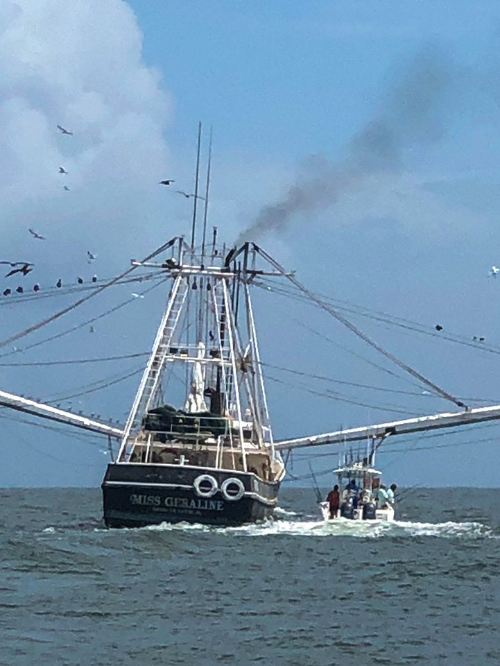 shrimpboatsandoilrigsoutofgrandisle3 Coastal Angler & The