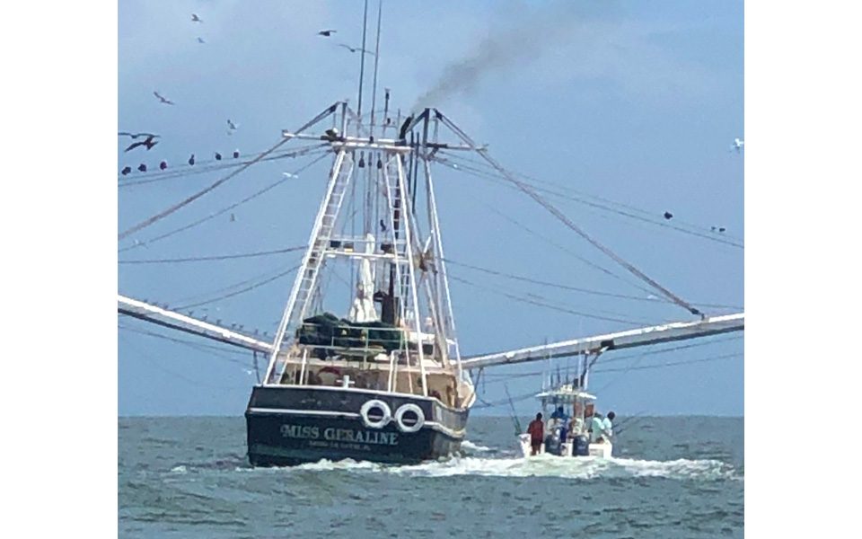 Shrimp Boats And Oil Rigs Out Of Grand Isle Coastal Angler & The