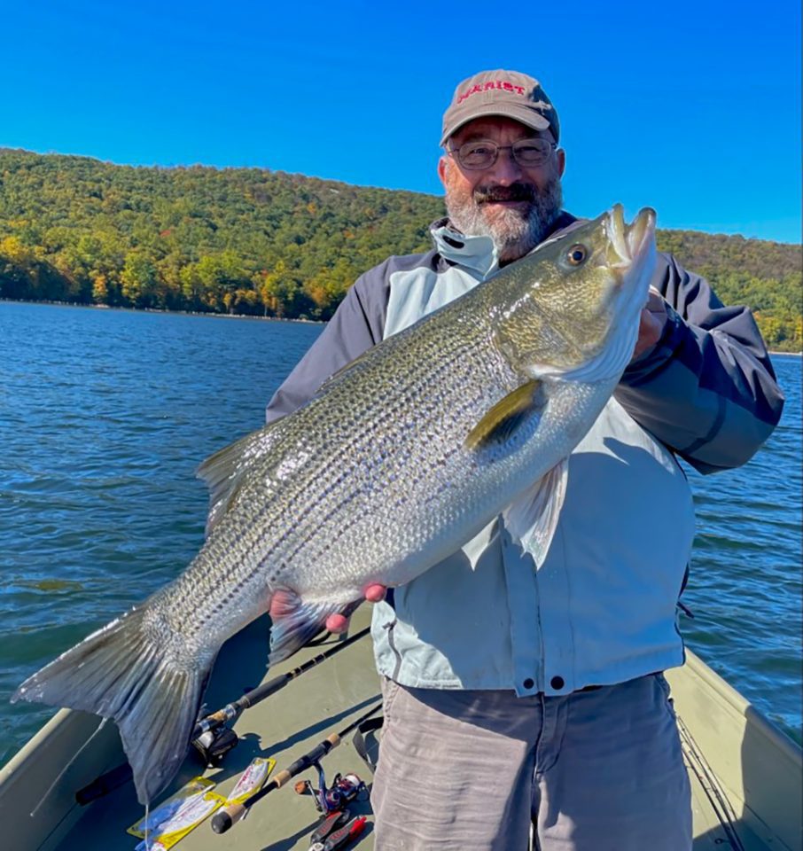 Man Catches Record Hybrid Striped Bass In New Jersey: ‘Trolling In 20 ...