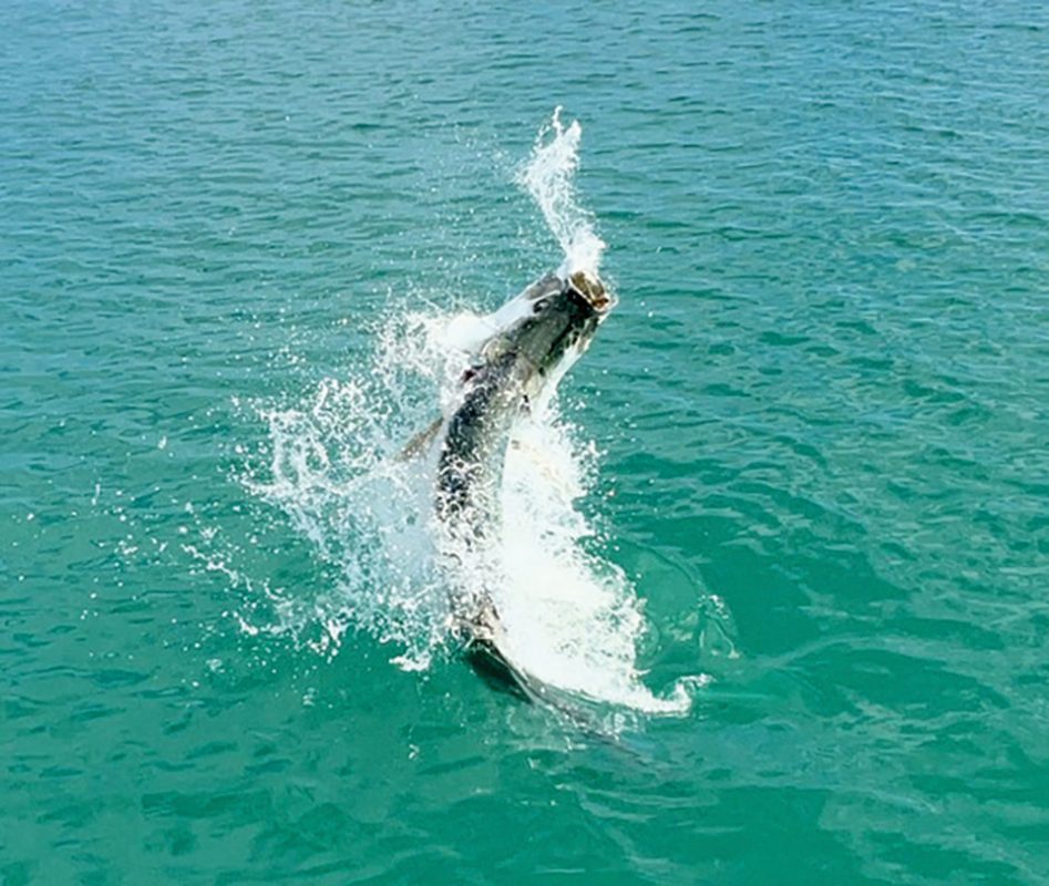 Sebastian Inlet to Eau Gallie Cswy. January 2023 Coastal Angler