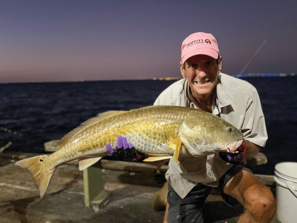 42” PB Redfish caught on the Rod and Reel Pier by Eric “Swivel Chair “  Wiegel. - Coastal Angler & The Angler Magazine