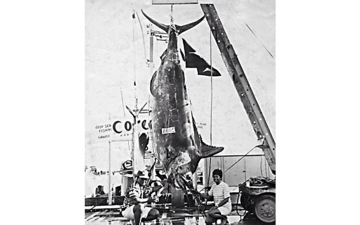 The Largest Blue Marlin Ever Landed - Coastal Angler & The Angler Magazine