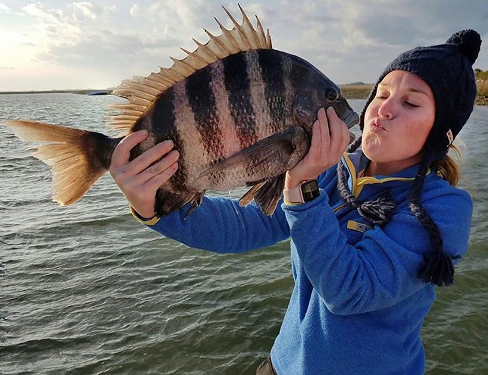 Now Is Time to Target Sheepshead in Coastal Waters - Coastal Angler & The  Angler Magazine