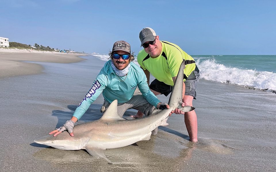 using shark bait at the beach - live mullet and jack 