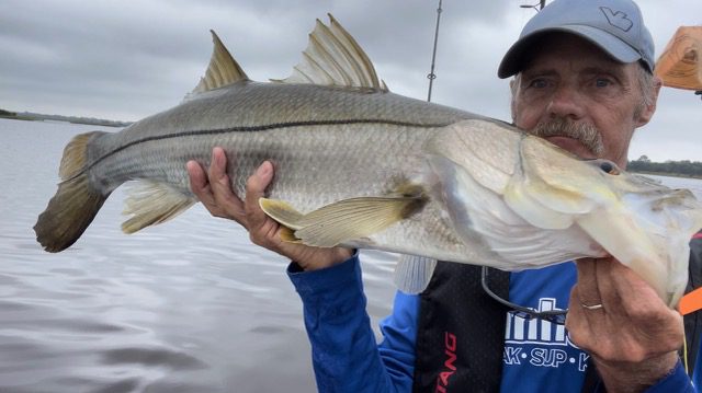 Best Saltwater Fishing Spots On The Gulf Coast