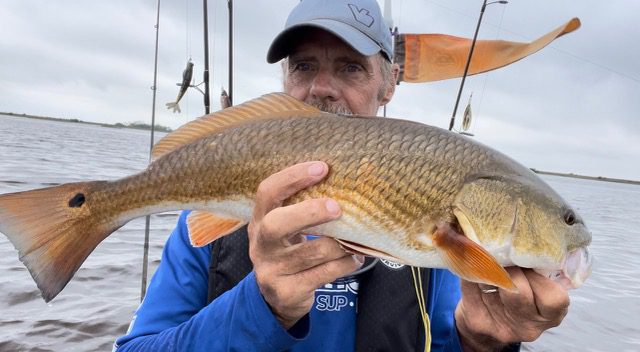 32 inch Redfish PB : r/Fishing