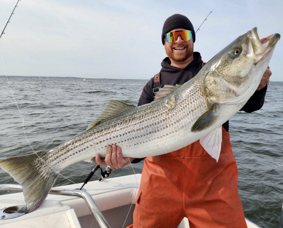 NJ Striped Bass - Coastal Angler & The Angler Magazine