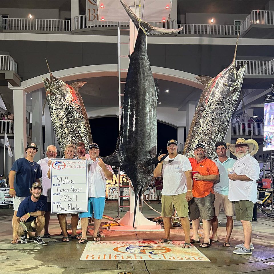 Record 776Pound Blue Wins Orange Beach Billfish Classic Coastal