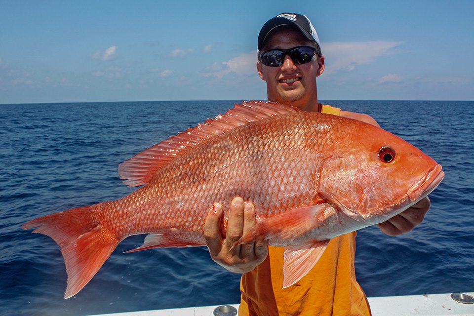 Red Snapper Season Announced For South Atlantic & It's Abysm