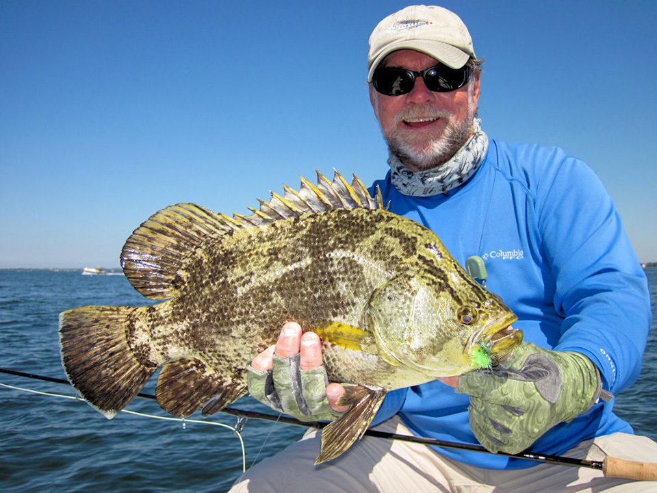 Saltwater: Great tripletail bite reported all over Tampa Bay area