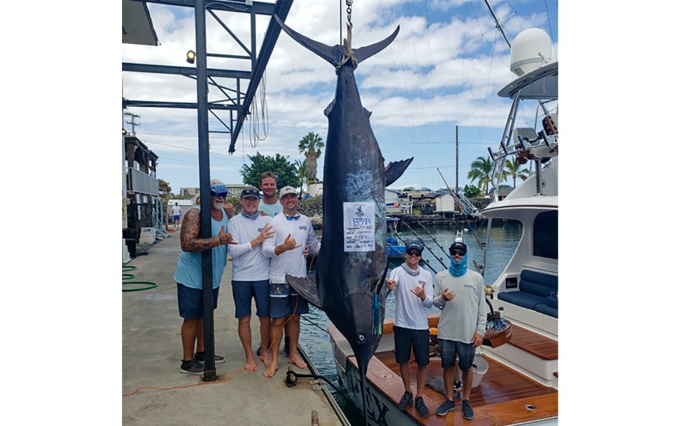 Marlin Fishing - Blue Marlin Fishing - Kona, HI, Marlin Tournament