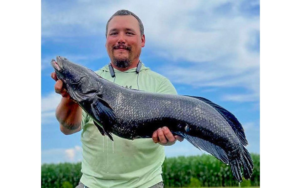 Potential World Record Snakehead Caught in Maryland - Coastal Angler & The  Angler Magazine