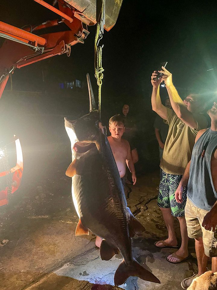 Arkansas Paddlefish Outweighs The World Record - Coastal Angler & The  Angler Magazine