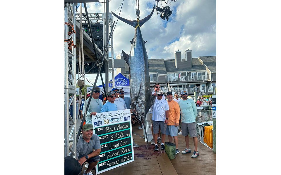 Last-Day Marlin Wins $6.2 Million - Coastal Angler & The Angler Magazine