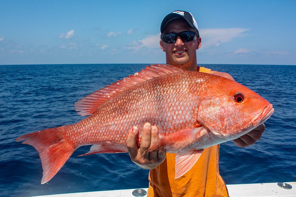 Bama Snapper Season Closes Sept. 4 Coastal Angler & The Angler Magazine