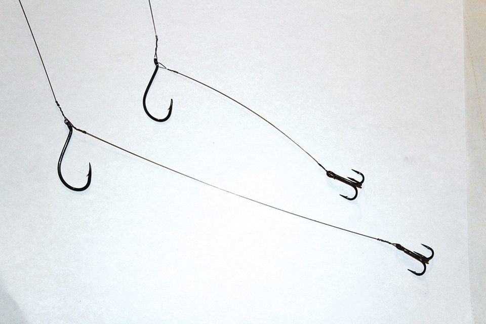 Kingfish, Back To The Basics - Coastal Angler & The Angler Magazine