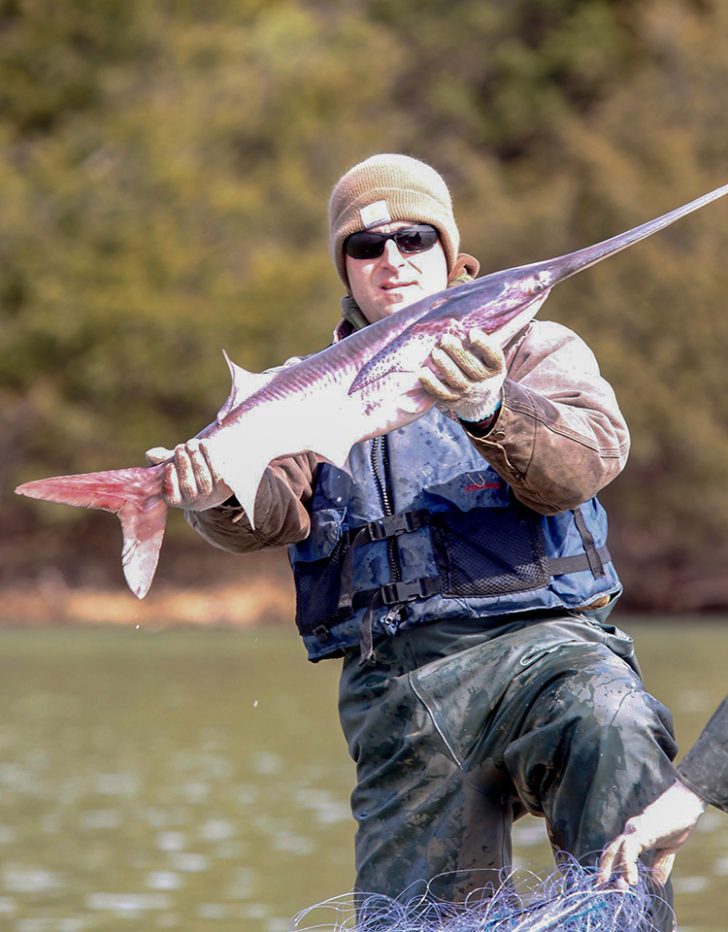 What Is A Paddlefish? Coastal Angler & The Angler Magazine