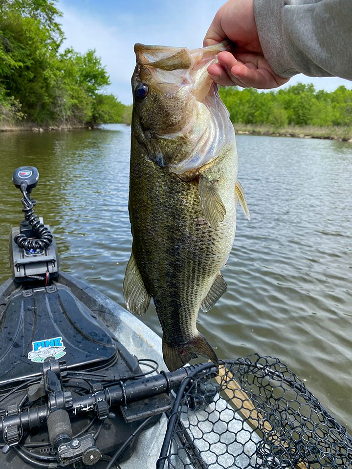 Squarebill Crankbait Tricks To Catch More Bass Right Now