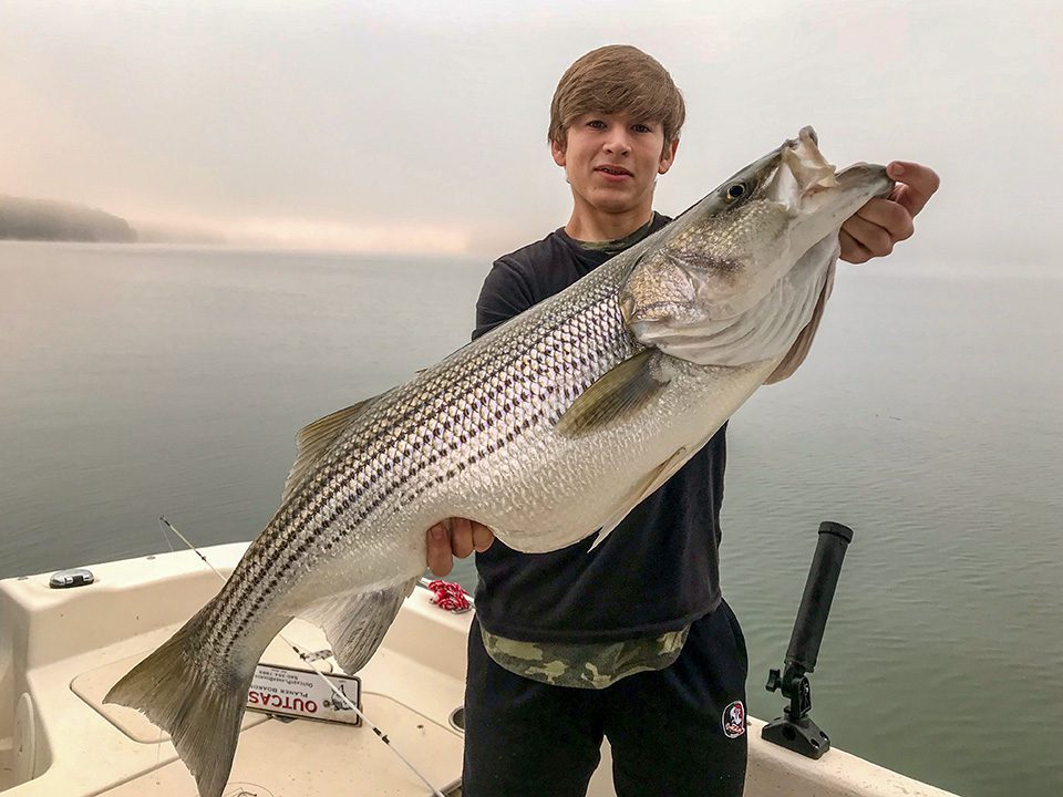 Striped bass are in trouble again. Can an emergency measure save them? -  The Boston Globe