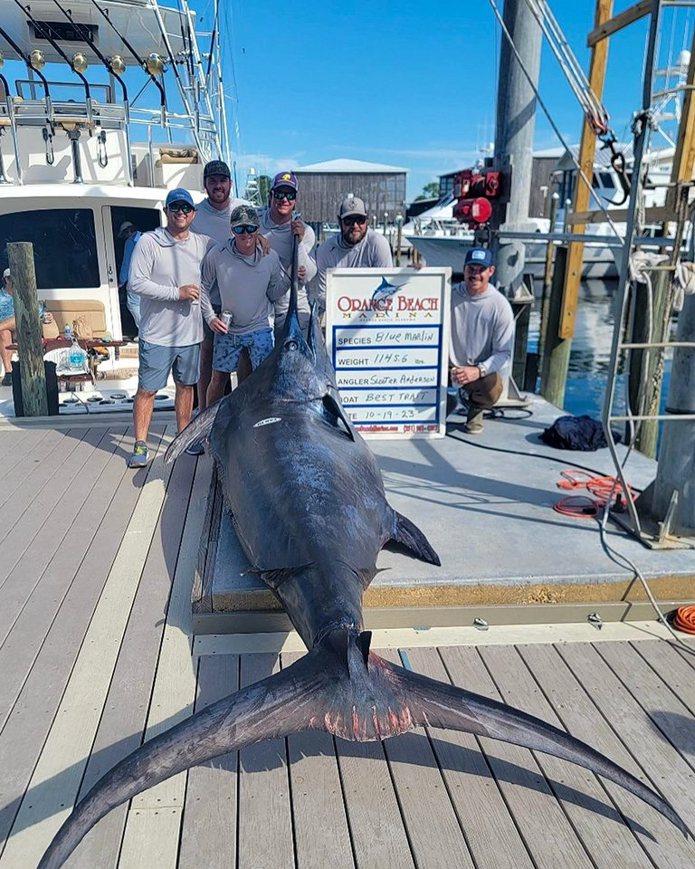 Alabama Grander Is A Gulf Record! - Coastal Angler & The Angler Magazine