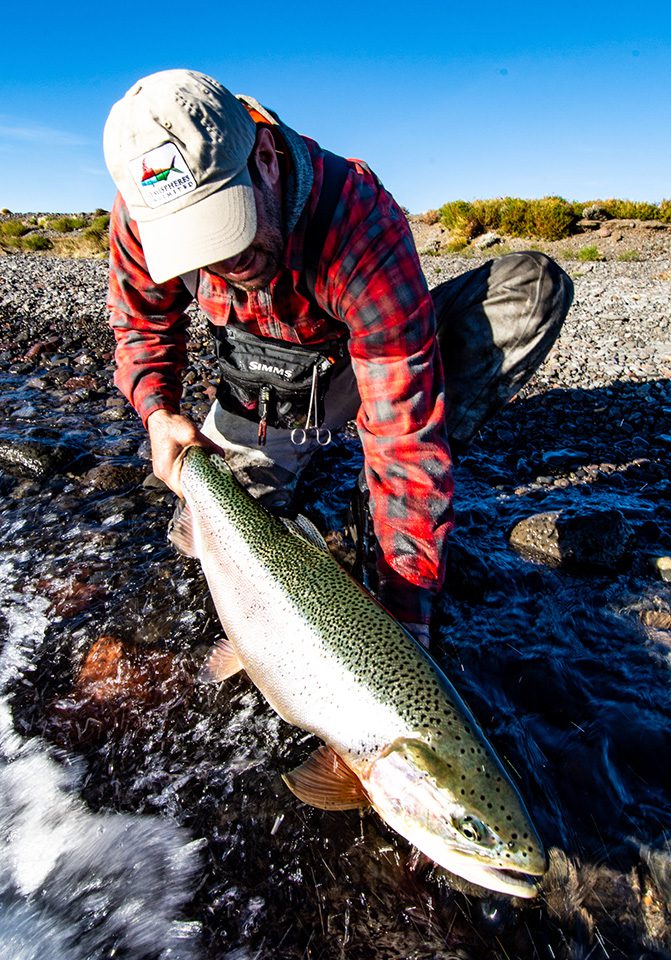 Rio Pico, Argentina: Big Patagonia Trout Adventure - Coastal