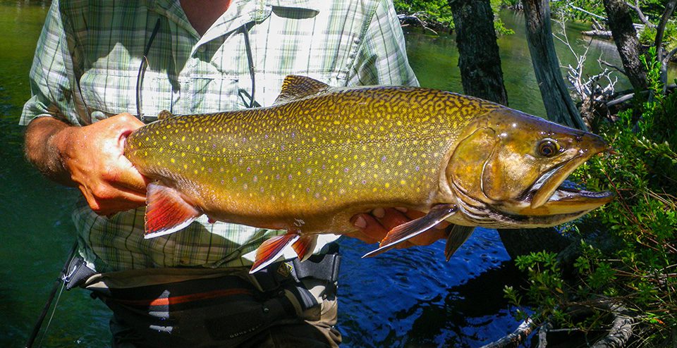 Patagonia River Guides Rio Pico