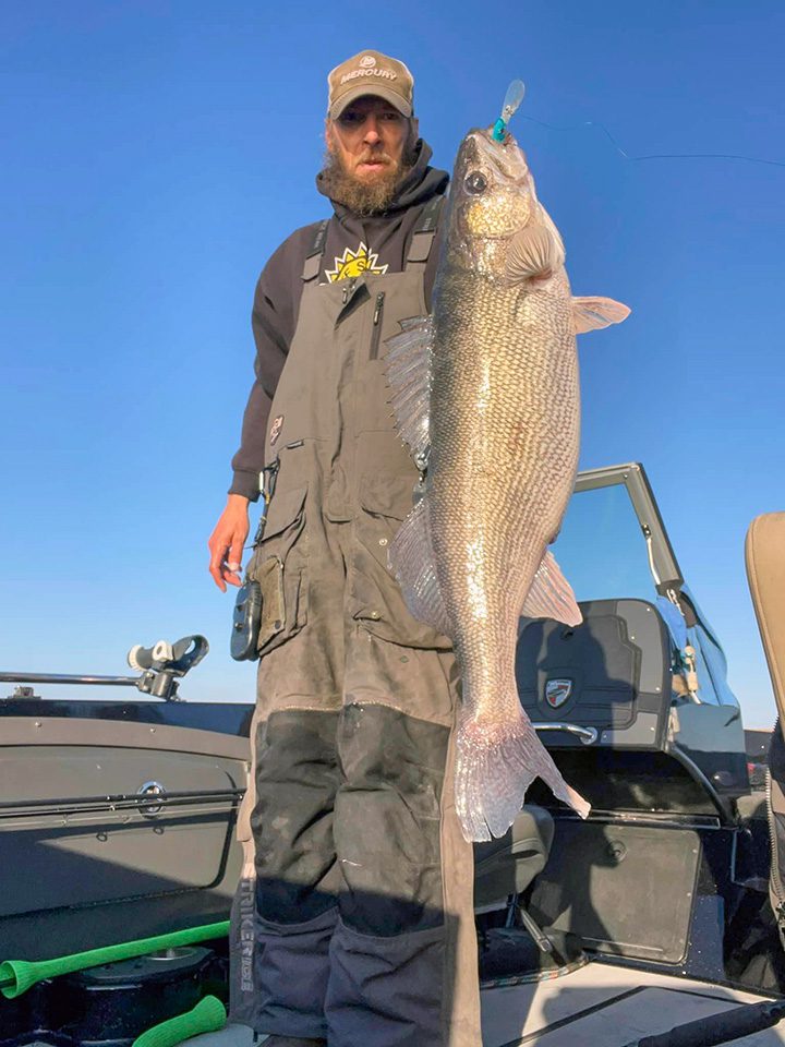 South Dakota angler hauls in 17-pound walleye on Lake Oahe for pending  state record - Mitchell Republic