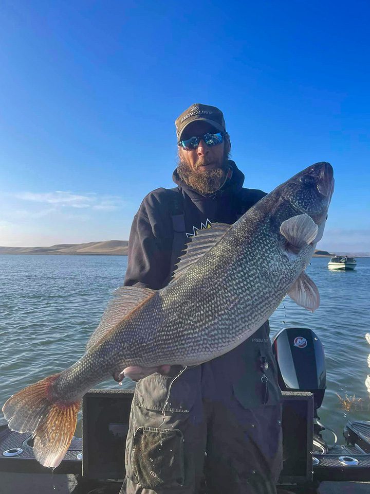 Nearly 18-Pound Walleye Breaks SD Record… Again! - Coastal Angler