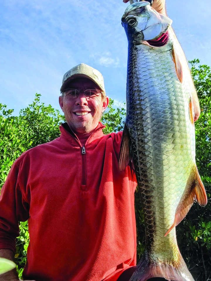 Larry Wall from Naples got this nice tarpon during the cooler weather ...