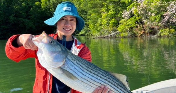 Extreme Striper Fishing in Western North Carolina on Lake Hiwassee -  Coastal Angler & The Angler Magazine