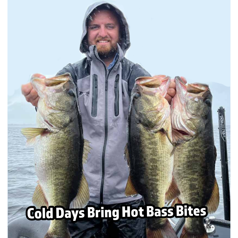 Cold Days Bring Hot Bass Bites Coastal Angler & The Angler Magazine