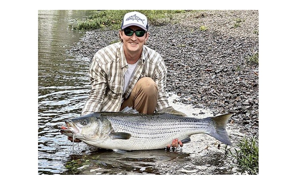 Record Fly Caught Striper. What Does It Weigh? Coastal Angler & The