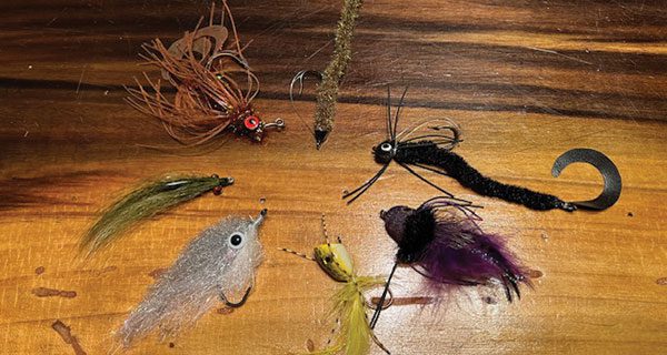 Springtime Bass On The Fly - Coastal Angler & The Angler Magazine