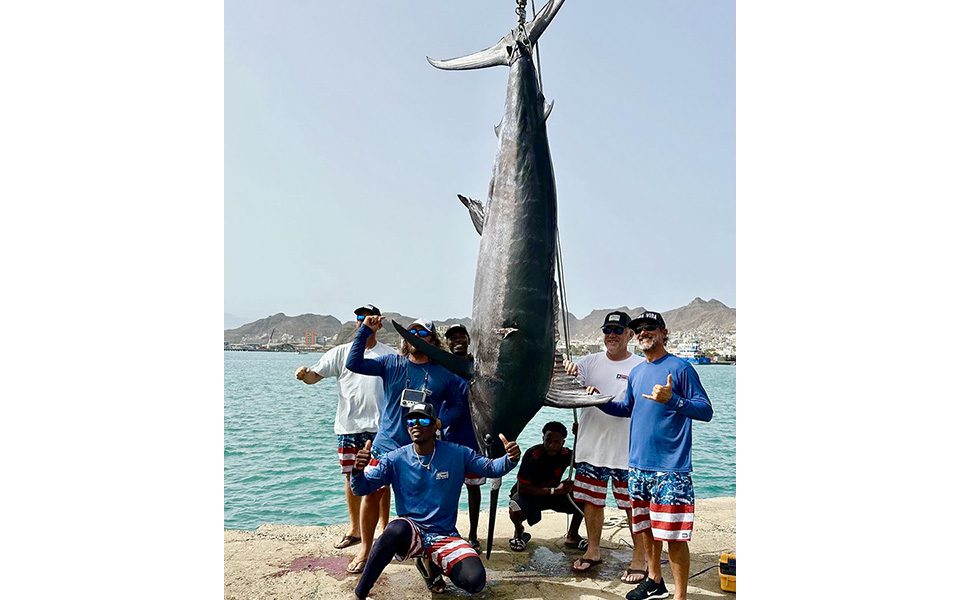 2 AP Beachcaster Sea Fishing Rod 12ft 3pc Lidster BLUE OCEAN 70 Reel Yellow Line - View #2