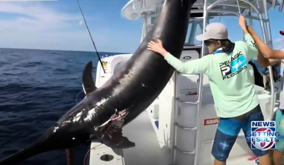 Florida Keys Fisherman Reels in 757-Pound Swordfish After Epic 8