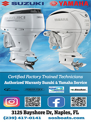 0126_sawyers_300x400 0126_sawyers_300x400